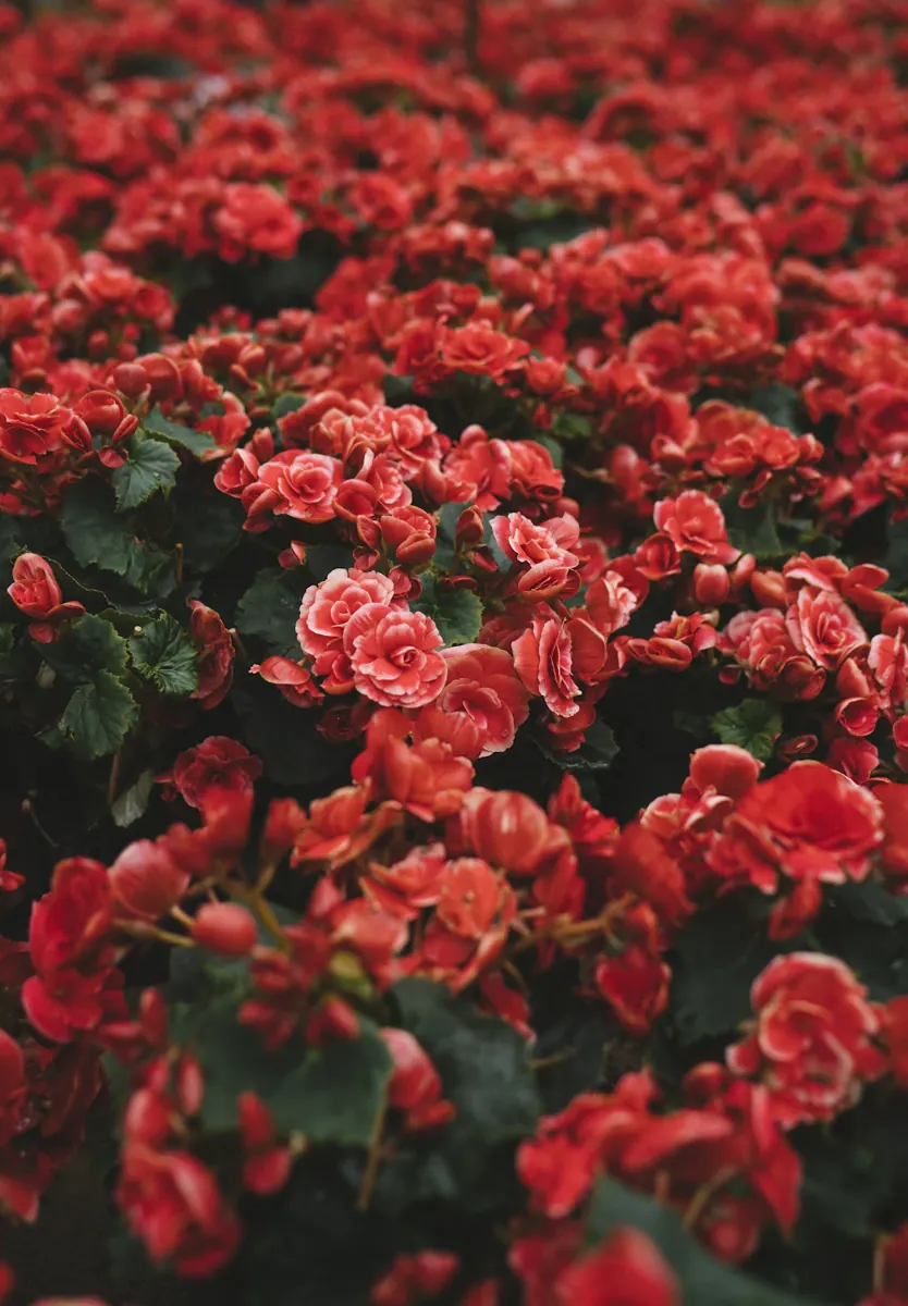 Decoração floral para eventos