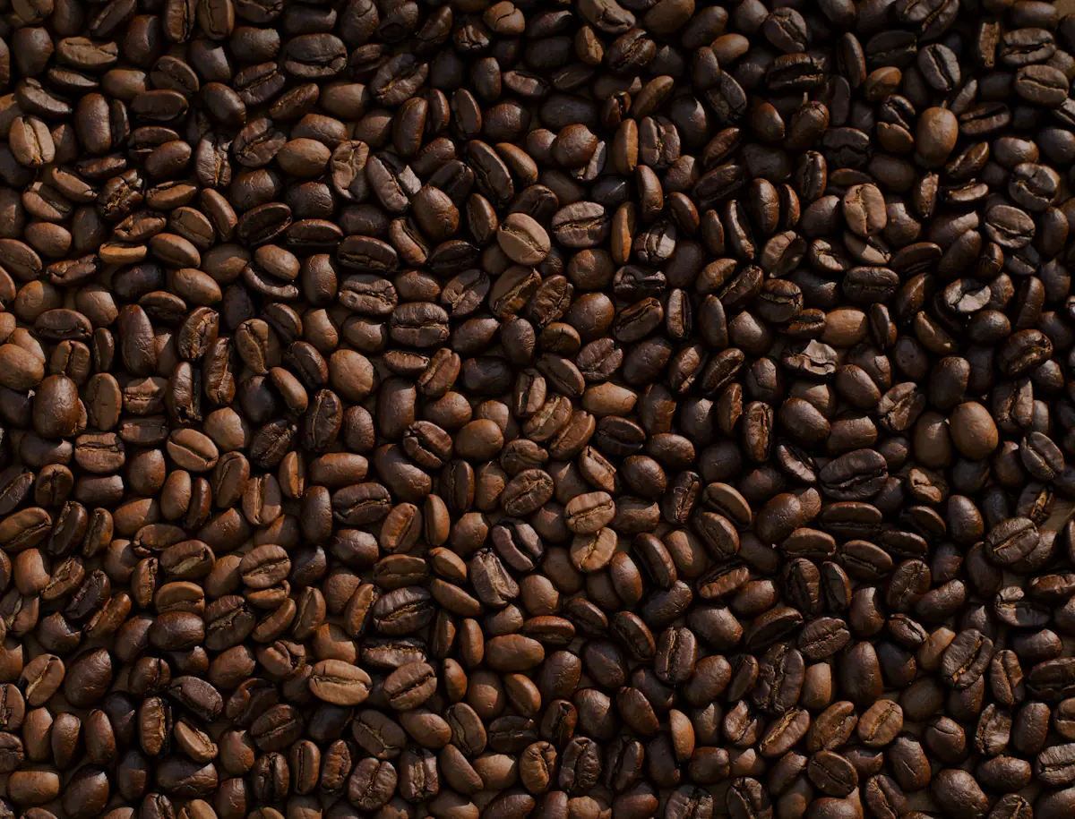 Plantação de café vista de cima com grãos vermelhos